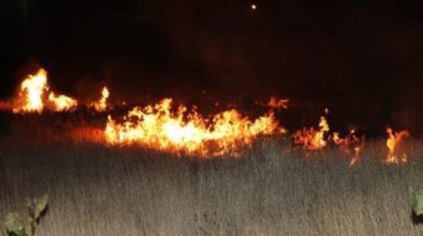 Kırşehir&rsquo;de Ot Yangını