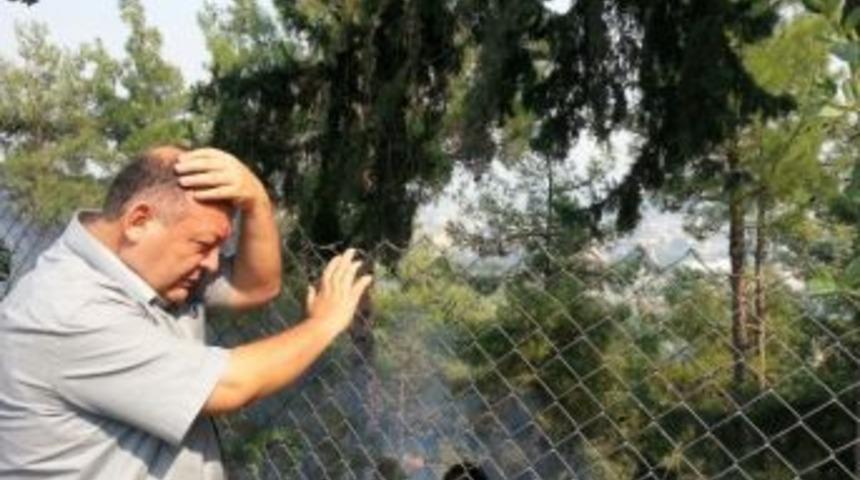 Osmaniye'de Ormanlık Alanda Yangın