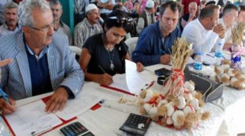 Taşk&ouml;pr&uuml;'de En İyi Sarımsak Ve Buzağı Yarışması