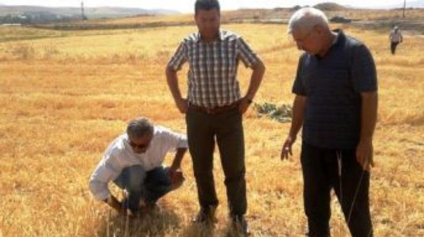 Tarım Sezonu Kurak Ge&ccedil;ti