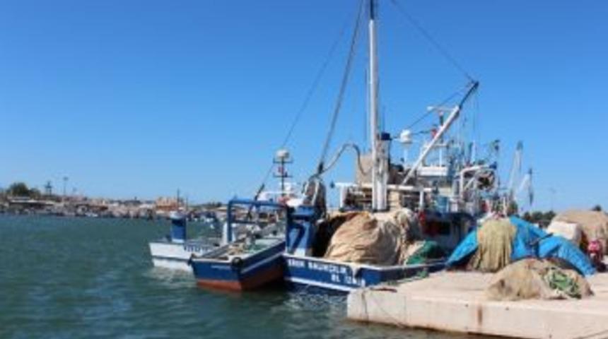 Urla Limanlarındaki Balık&ccedil;ılar Da Ava Hazır
