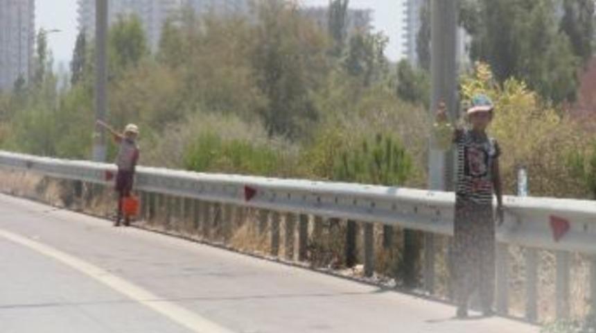 &Ccedil;ocukların Otoyolda Ekmek M&uuml;cadelesi