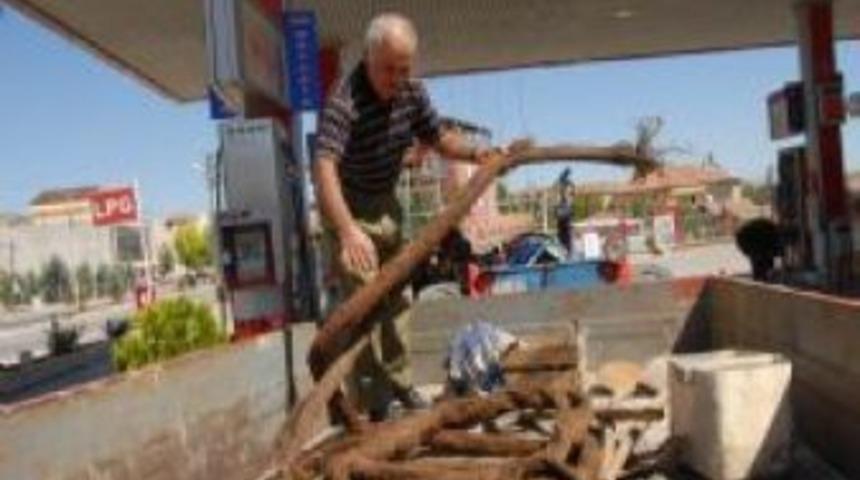 25 metre uzunluğunda ağa&ccedil; k&ouml;k&uuml;