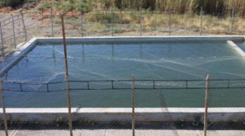 Sazan Islahı Projesi Hız Kazandı