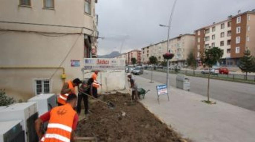 Dadaşkent&rsquo;e Yeşil Makyaj