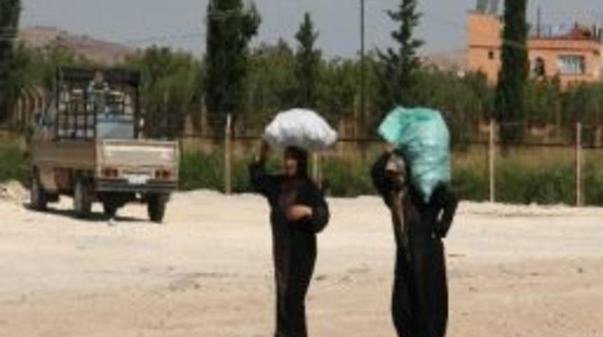 Suriyeliler, Arap Ve D&uuml;nya &Uuml;lkelerine Tepkili