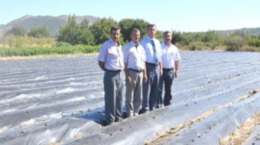 Kırkağa&ccedil; Kaymakamı Sırmalı Tarımsal Projelerini Anlattı