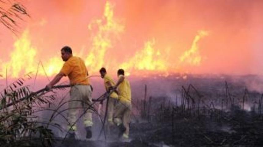 Tatil Beldesinde Yangın Paniği