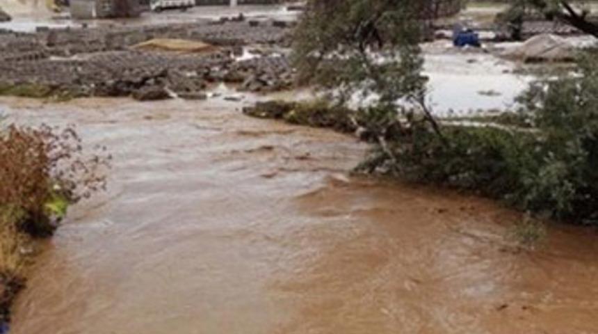 Van'da sel can aldı