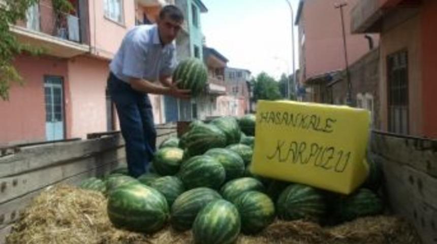 Hasankale Karpuzu Tezgahlardaki Yerini Aldı