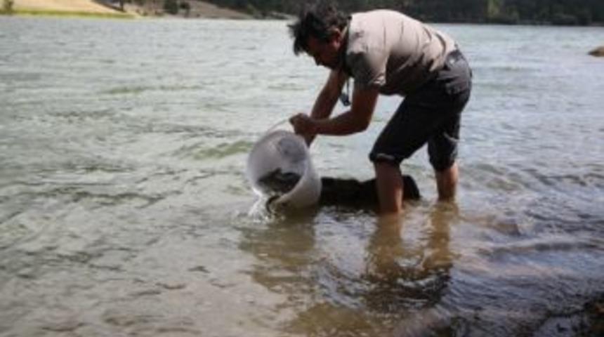 Baltalı G&ouml;leti 4 Yıl S&uuml;reyle Amat&ouml;r Ve Ticari Balık&ccedil;ılığa Kapatıldı