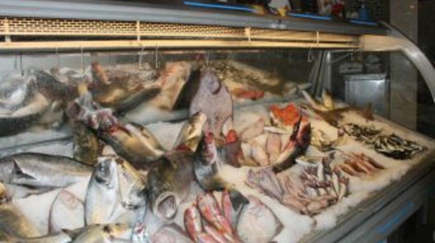 Bursa Tarım M&uuml;d&uuml;r&uuml; &Ouml;mer &Ccedil;elik Uyardı: 2050&rsquo;de Balık Stoğu T&uuml;kenecek