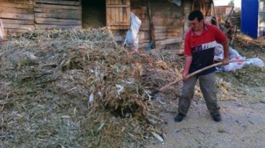 Hisarcık'ta &Ccedil;ift&ccedil;iler 'sapla Saman'ı Birbirinden Ayırmıyor
