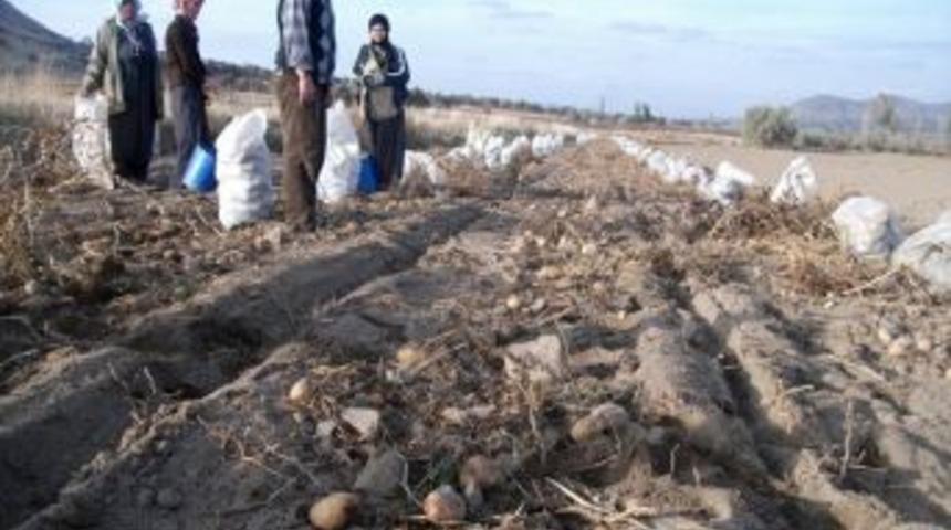 &Uuml;reticilere Zarar &Ouml;demeleri Yapıldı