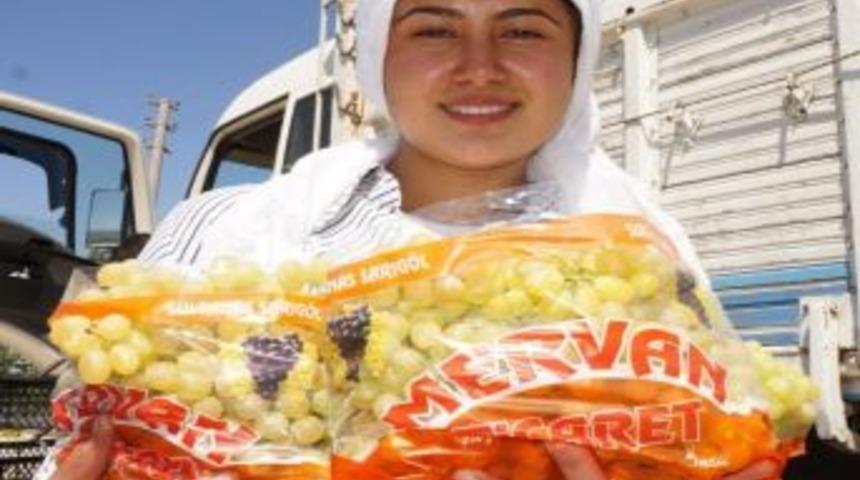 &Uuml;z&uuml;mler Bağda Paketleniyor