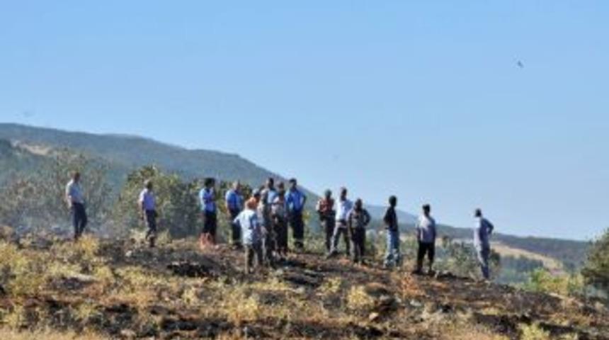 Akşehir&rsquo;de Orman Yangını