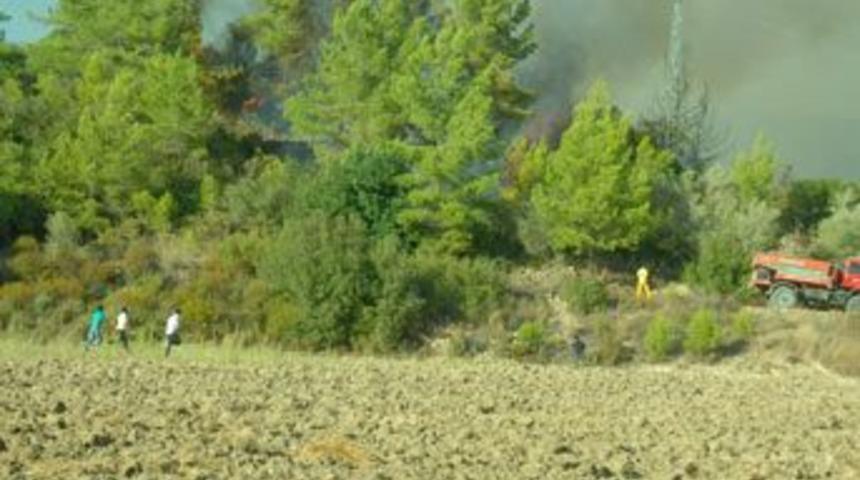 Yavrudoğan&rsquo;da yangın korkuttu