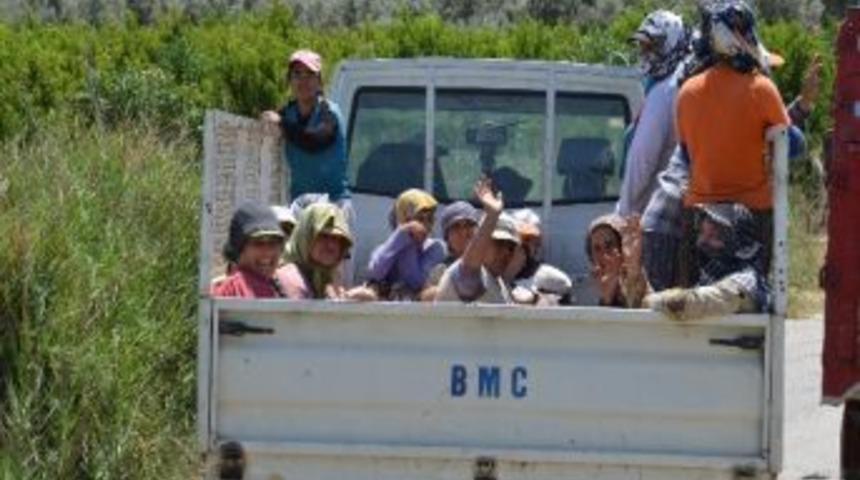 Kamyonet Tarım İş&ccedil;ilerinin Servis Aracı Oldu
