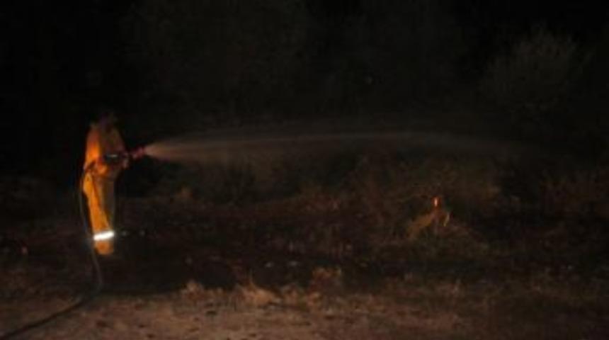 Kozan'da Ş&uuml;pheli Orman Yangını