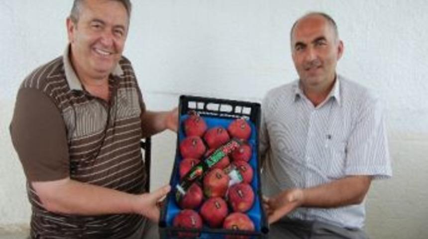 Meyvede Sıkıntı Pazarlamada