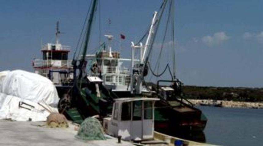 Balık Sezonu 1 Eyl&uuml;l&rsquo;de Başladı