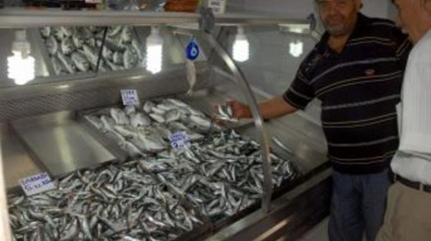 Sardalya Fiyatı Bir G&uuml;nde Yarı Yarıya D&uuml;şt&uuml;