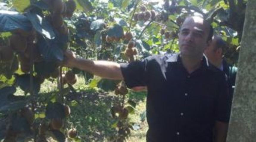 Kivi Ak&ccedil;akoca&rsquo;yı Sevdi