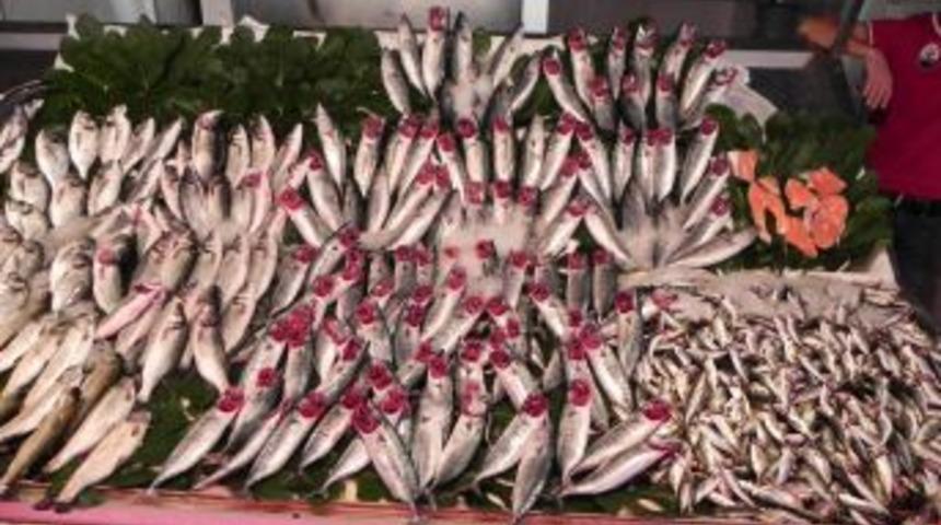 Ereğli'de Balık Fiyatları Hayal Kırıklığına Neden Oldu