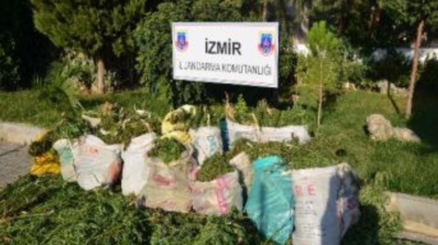 &Ouml;demiş'te Uyuşturucu Operasyonu