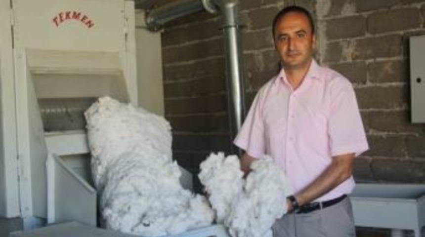 Antbirliğe Sezonun İlk Pamuğu