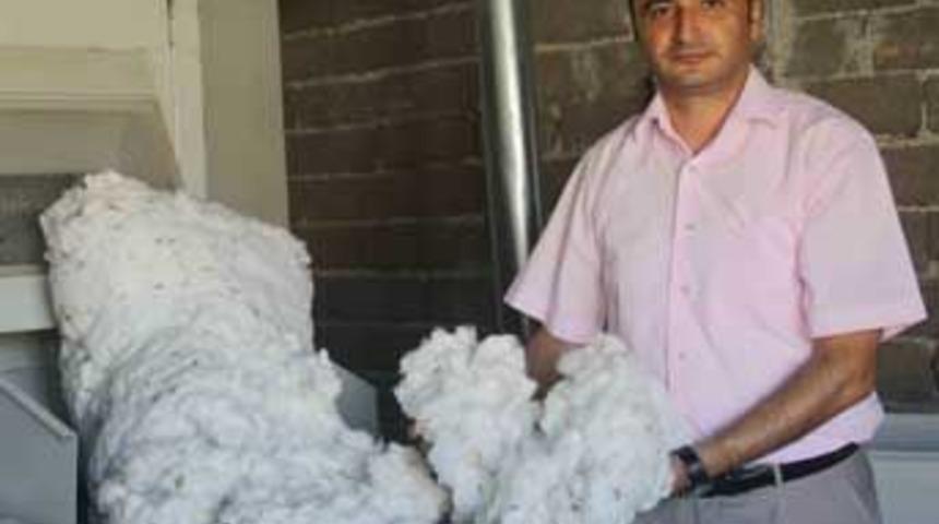 ANTBİRLİK&rsquo;te sezonun ilk pamuğu