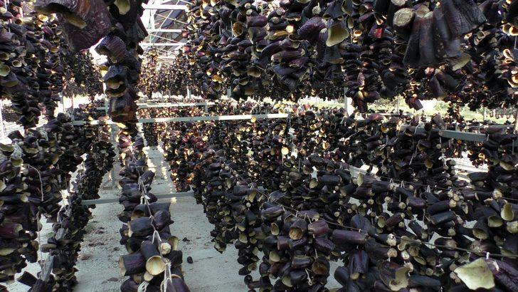 Yaşını satamayınca kuruttular, şimdi tüm dünyaya satıyorlar G4