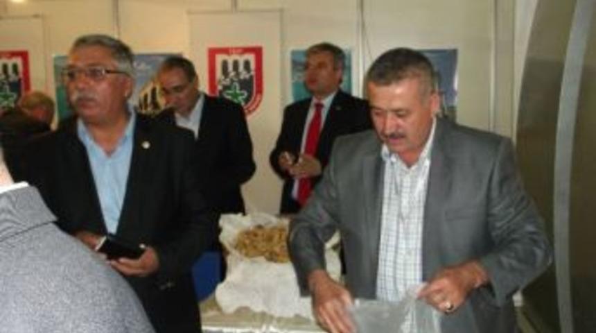 Ayto, Konya Tohumculuk Fuarında Aydın Tarımını Tanıttı