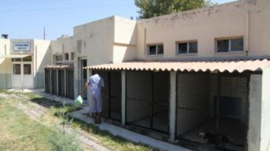 Konak'ta Sevimli Dostlar G&uuml;vende