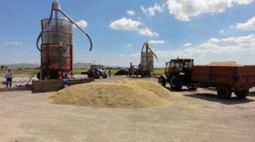 G&ouml;nen De &Ccedil;eltik Ekimi Azaldı