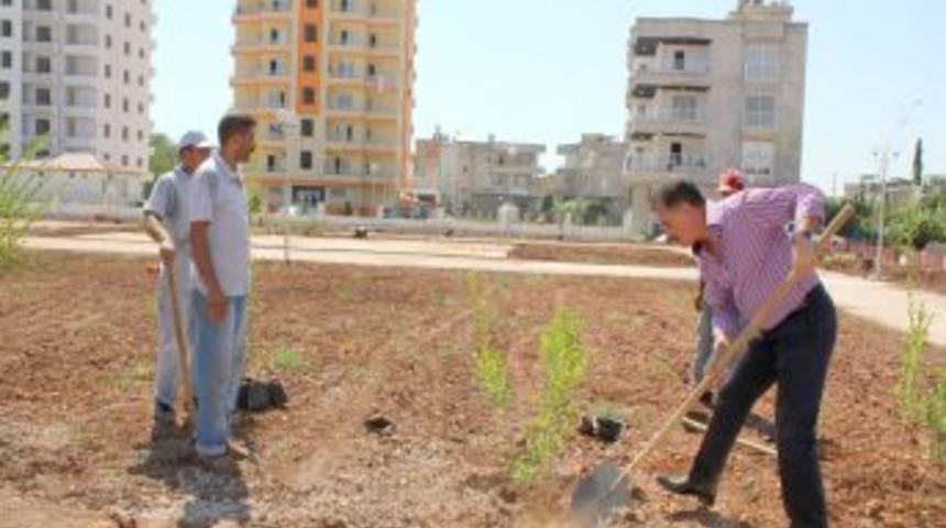 Toroslar Belediyesi, Portokal Mahallesi&rsquo;ne Yeni Bir Park Yapıyor