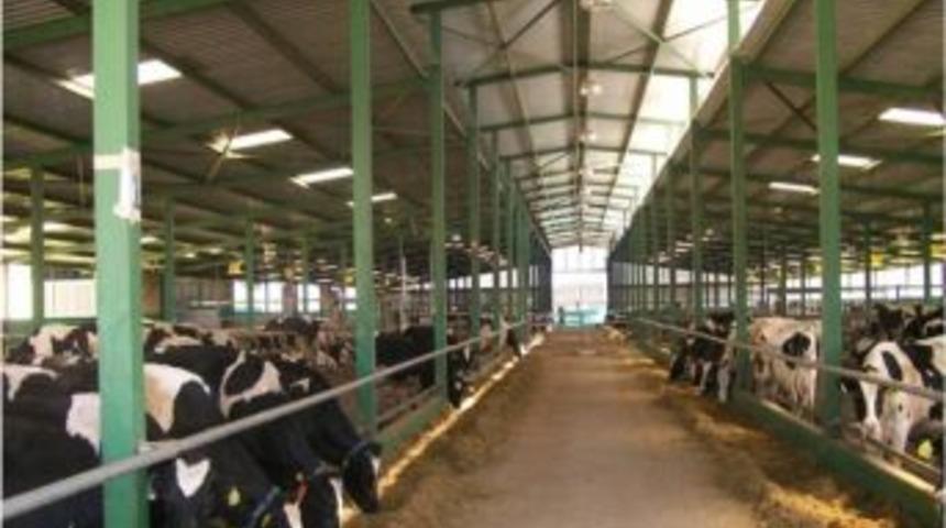 Sakarya&rsquo;da 2012 Yılı Şap Aşılaması 17 Eyl&uuml;l&rsquo;de Başlayacak