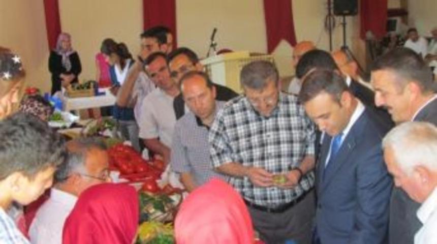 Tarla G&uuml;n&uuml; Ve Teşvik M&uuml;sabakası D&uuml;zenlendi