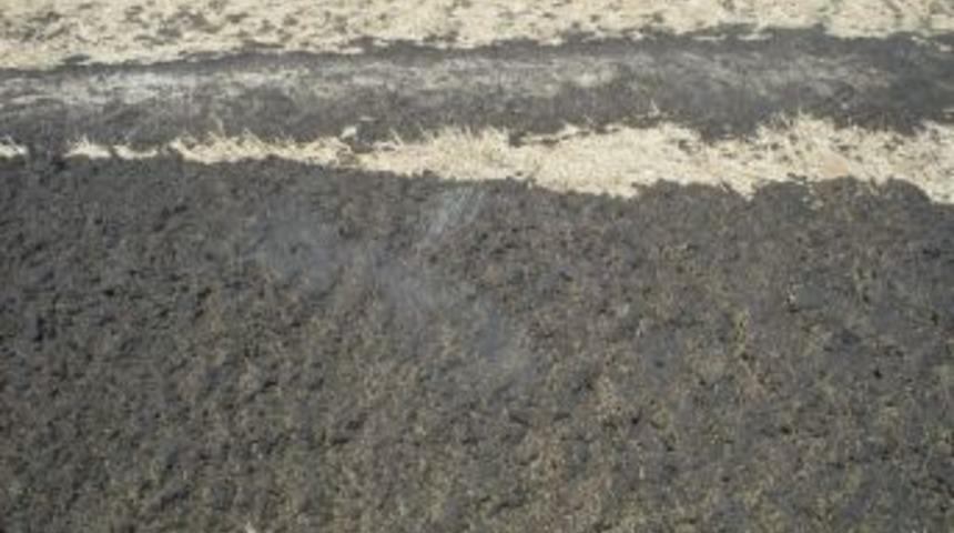 Bandırma Belediyesi Tavuk G&uuml;bresi D&ouml;ken Firmaları Uyardı