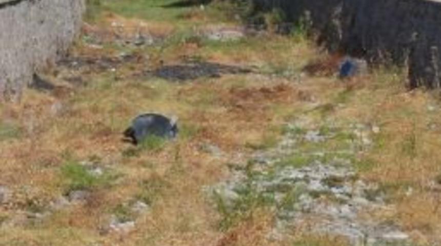 Dereler Kurudu &Ccedil;&ouml;pler Meydana &Ccedil;ıktı