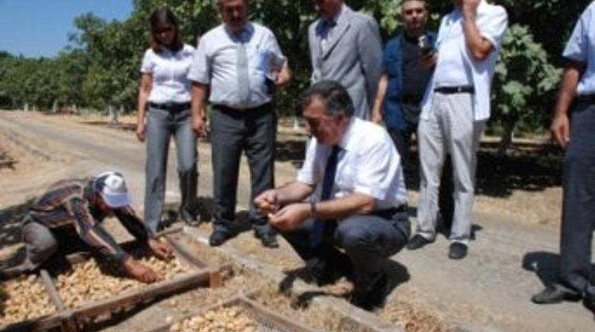 Vali Al Erbeyli&rsquo;de İncelemelerde Bulundu