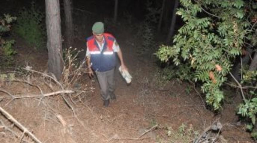 Orman Yangınında Sabotaj İhtimali