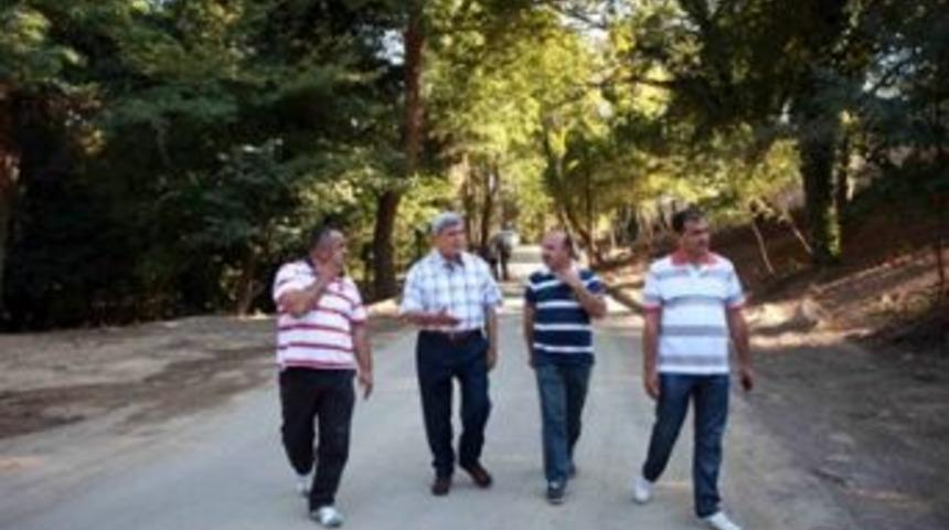 Şehrin y&uuml;z&uuml; g&uuml;lmeye başladı