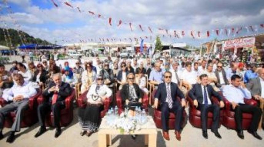 Kandıra'da Tarım Ve Hayvancılık Panayırı