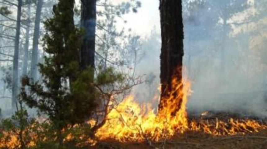 Yaz Yazgınları 3 Milyon Lirayı K&uuml;l Etti