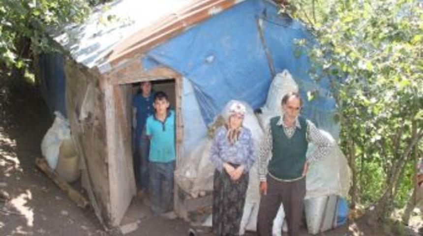 4 N&uuml;fuslu Aile Tek Odalı Barakada Yaşıyor