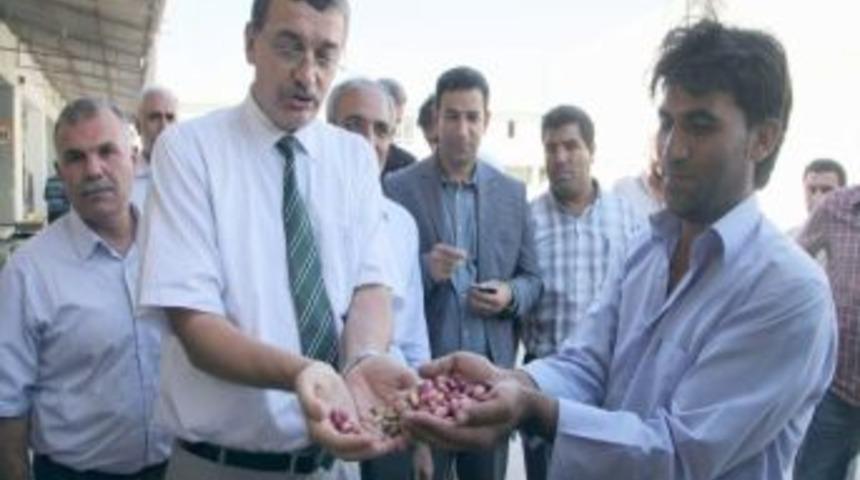 Vali G&uuml;ven&ccedil;, Birecik'te İncelemelerde Bulundu