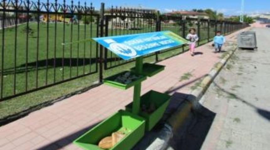 Aziziye&rsquo;de Sokak Hayvanları Unutulmadı