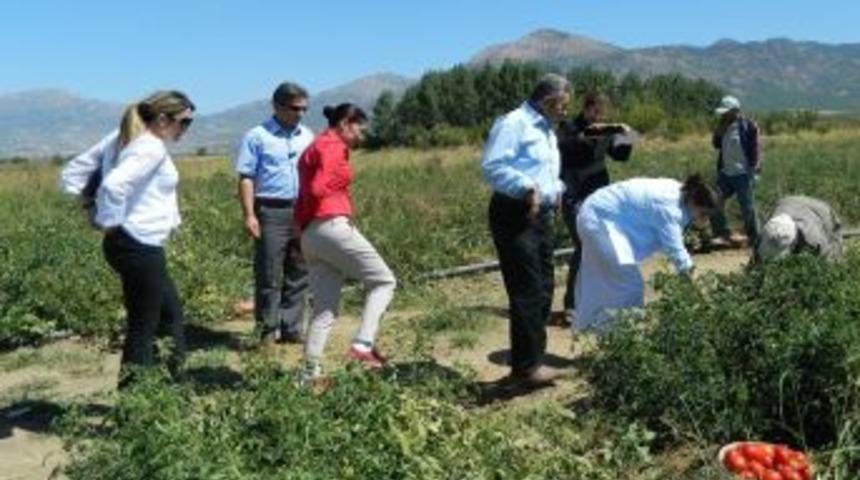 AK Parti Milletvekili Dalbudak Acıpayam'da Incelemelerde Bulundu