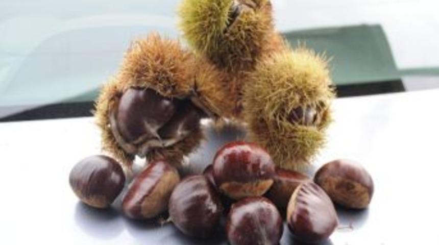 Kestane A&ccedil;ıklaması Nedeniyle Milletvekili Kılın&ccedil;&rsquo;a Eleştiri